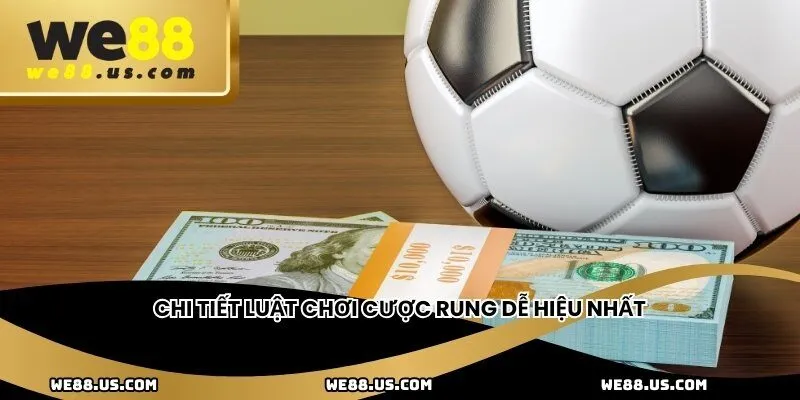 Chi tiết luật chơi cược rung dễ hiệu nhất