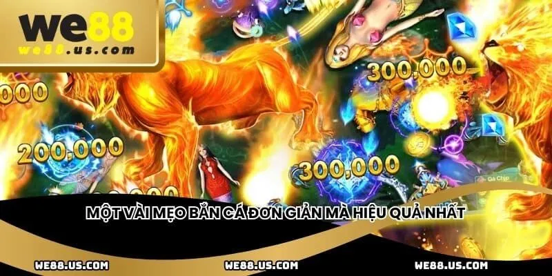 Một vài mẹo bắn cá đơn giản mà hiệu quả nhất