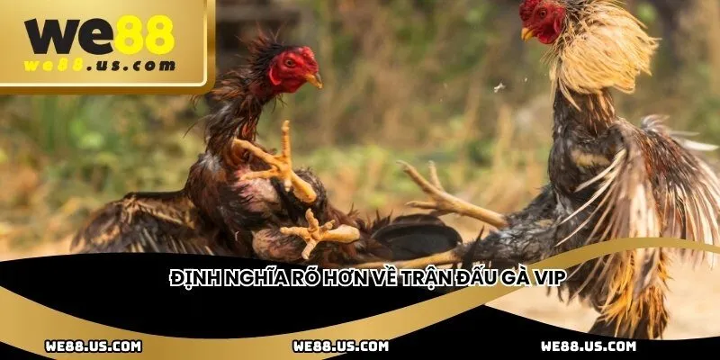 Định nghĩa rõ hơn về trận đấu gà VIP