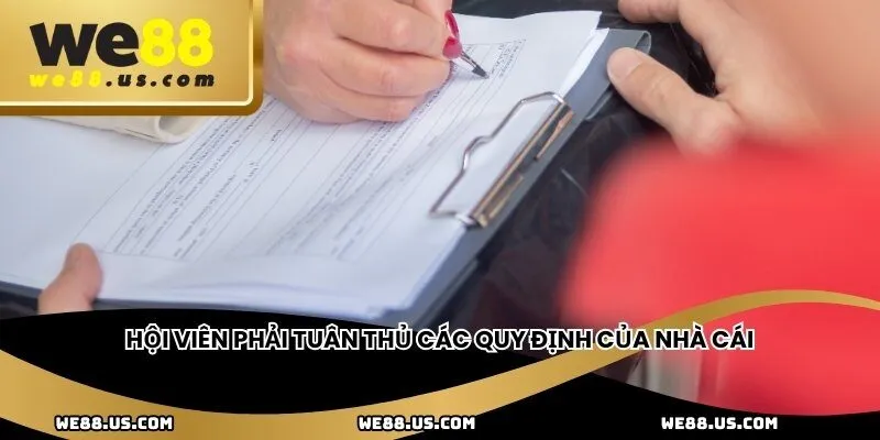 Hội viên phải tuân thủ các quy định của nhà cái